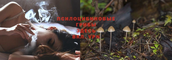 2c-b Арсеньев