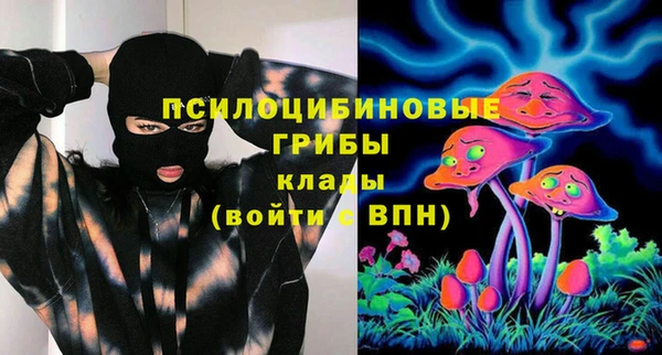 индика Армянск