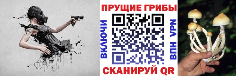 Псилоцибиновые грибы прущие грибы  Новоаннинский 